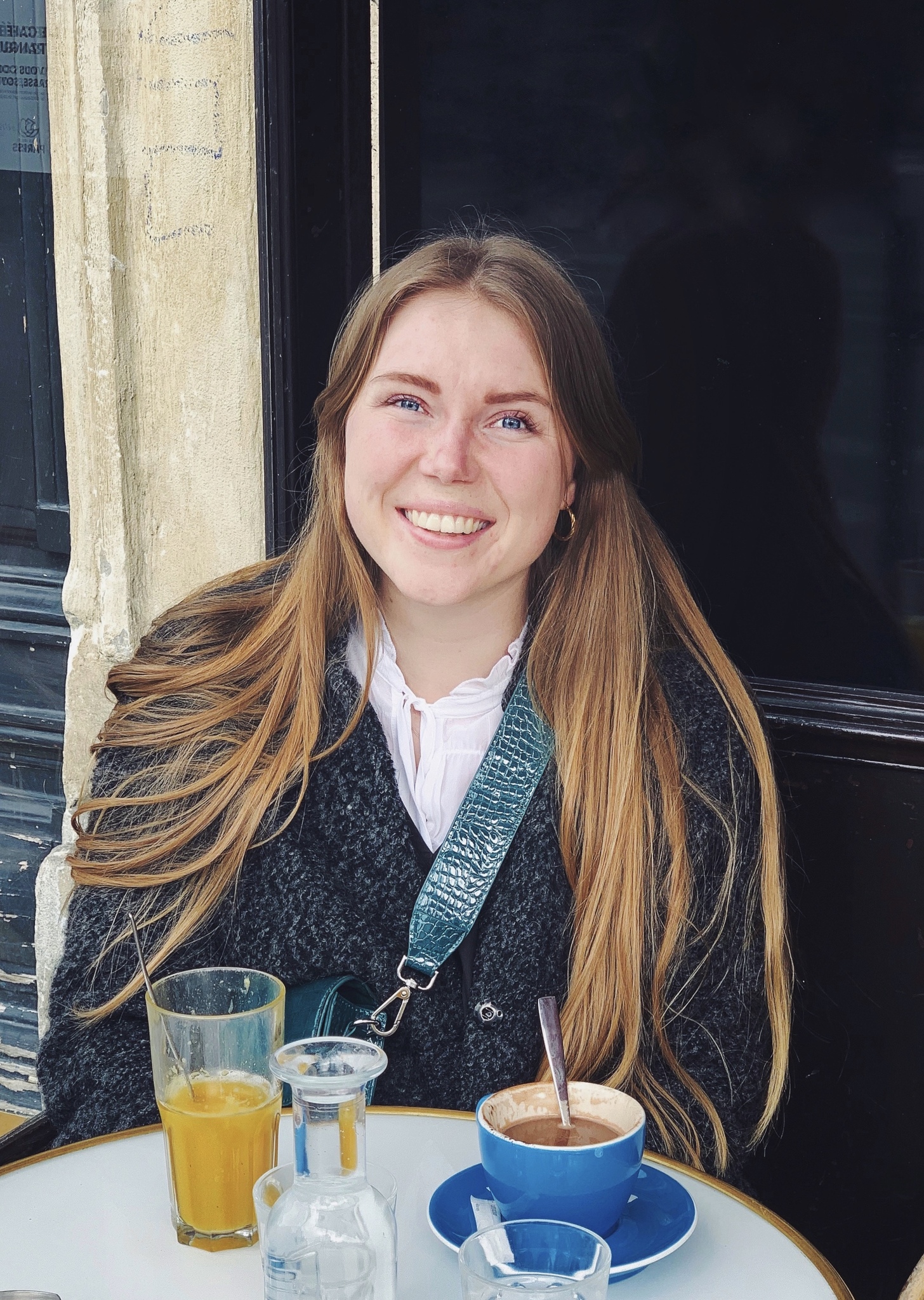 groedgrisen anna